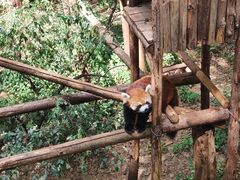 -昆明动物园