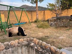 -杭州野生动物世界