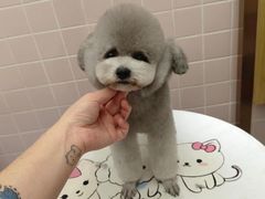 -FAELING PETS美天灵宠物(富力广场店)