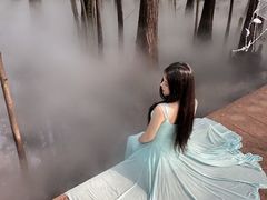 -东湖落雁景区