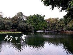 -荔湾湖公园