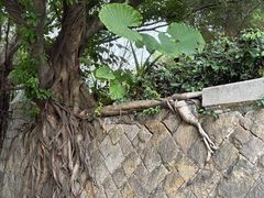 -乌山风景区