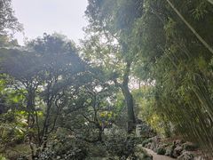 -秋霞圃