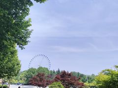-宜兴龙背山森林公园