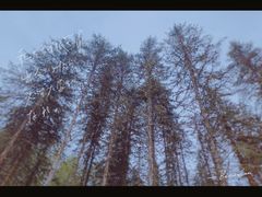 -硗碛藏寨·神木垒景区