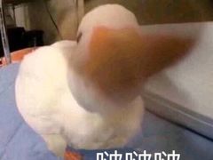 -芬芳甜品(同福路店)