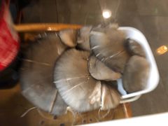 -竹叶涮肉坊(总店)