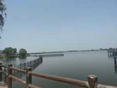 -鹅湖玫瑰文化园