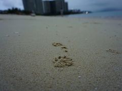 -碧桂园十里银滩