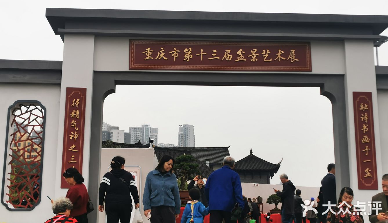 盆景艺术，匠心独具