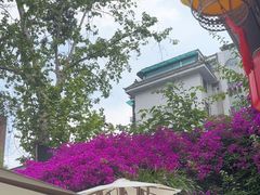 -院8里·少城记忆老川菜(宽窄巷子店)