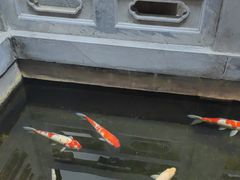 -鲤院·新中式美学·庭院餐厅(夫子庙店)