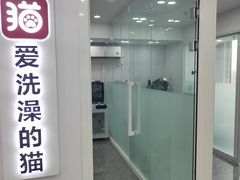 -爱洗澡的猫(望京店)