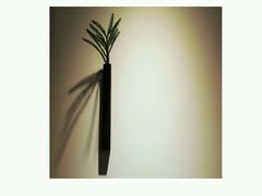 -朵朵开素食餐厅(后宰门街店)