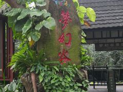 -呀诺达热带雨林