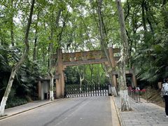 -灵谷景区