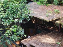 -海南槟榔谷黎苗文化旅游区