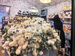 -济州岛泰迪熊博物馆