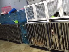 -宠爱有家宠物店(环镇北路店)