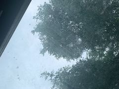 -VOYAGE COFFEE(北锣鼓巷店)