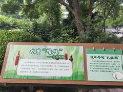 -成都市活水公园