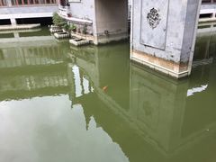 -龙潭水乡