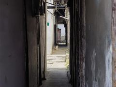 -练塘古镇