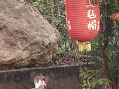 -李东农庄(中南百草园地标店)