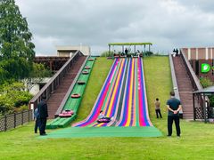 -黄海国家森林公园