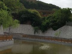 -铜川市金锁关石林