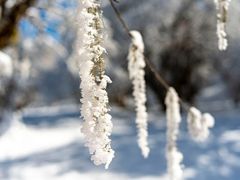 -太子岭滑雪场