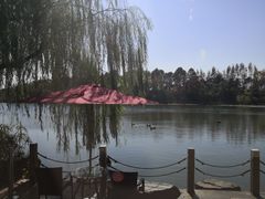 -上海怡沁园度假酒店