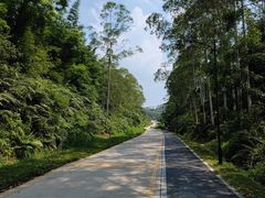 -黄埔油麻山森林公园