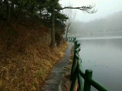 -鲁山国家森林公园