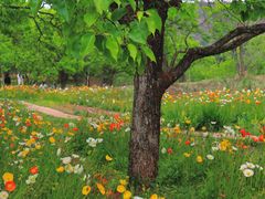 -名花谷生态庄园