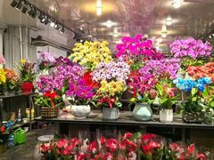 -双季花艺园艺市场(浦东店)