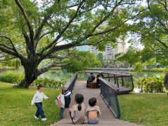 -四海公园(南山区)