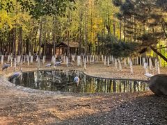 -艾溪湖湿地公园