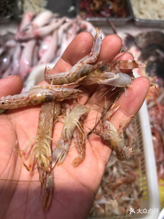 刻龙排档(工人路店)-鼓虾-菜-鼓虾图片-台州美食-大众点评网