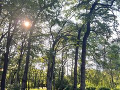 -元大都城垣遗址公园