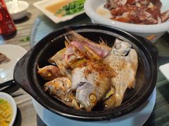 杂鱼煲-姐妹临高乳猪店(海垦路店)