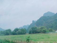 -明仕田园