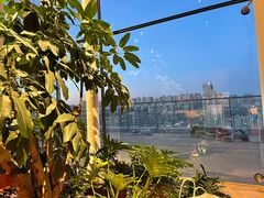 -Seesaw Coffee(朝阳大悦城店)