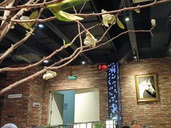 -韩盛·盛江山自助料理(于洪新玛特店)