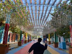 -青岛方特梦幻王国