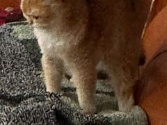 -晋爵会游泳馆(海湾公园店)