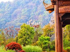 -婺源梦里老家大型山水实景演出