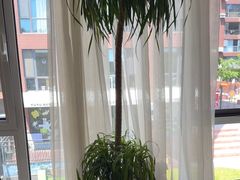 -荷恬·精致蔬食料理(星海店)