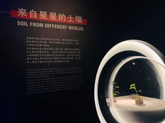 -贝林大翅鲸简餐厅(国家海洋博物馆店)