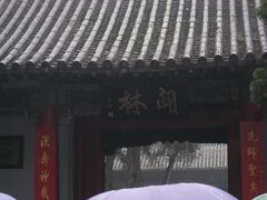 -关林